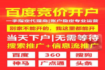 竞价排名优化策略案例分析
